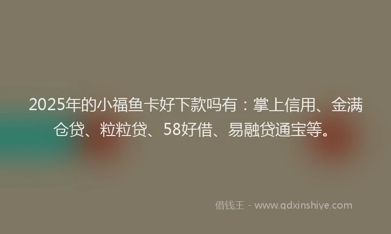 2025年的小福鱼卡好下款吗有：掌上信用、金满仓贷、粒粒贷、58好借、易融贷通宝等。