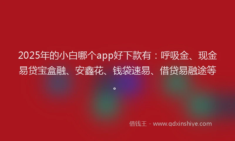 2025年的小白哪个app好下款有：呼吸金、现金易贷宝盒融、安鑫花、钱袋速易、借贷易融途等。