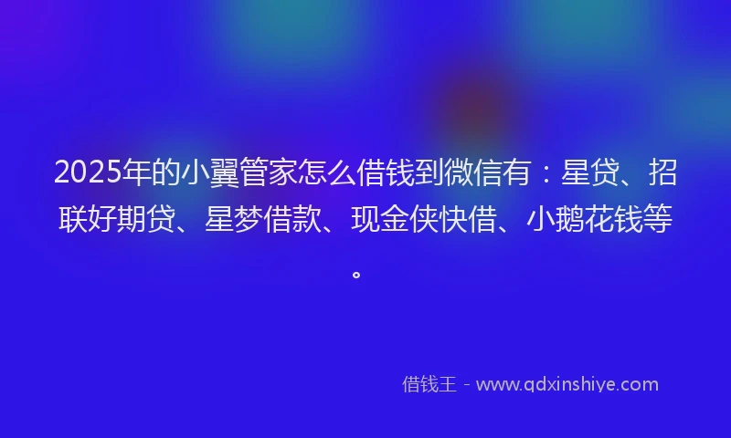 2025年的小翼管家怎么借钱到微信有：星贷、招联好期贷、星梦借款、现金侠快借、小鹅花钱等。