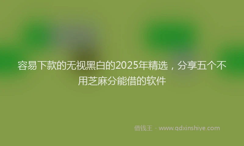 容易下款的无视黑白的2025年精选，分享五个不用芝麻分能借的软件