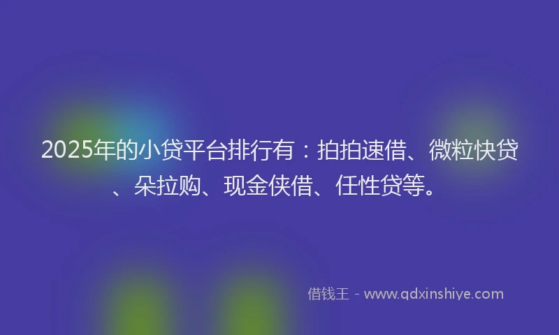 2025年的小贷平台排行有：拍拍速借、微粒快贷、朵拉购、现金侠借、任性贷等。