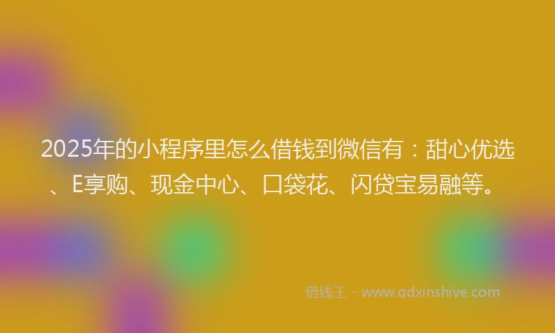 2025年的小程序里怎么借钱到微信有：甜心优选、E享购、现金中心、口袋花、闪贷宝易融等。