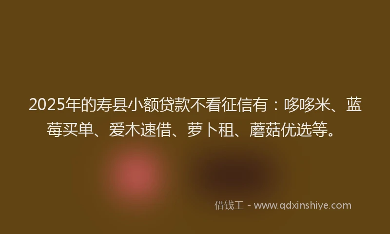 2025年的寿县小额贷款不看征信有：哆哆米、蓝莓买单、爱木速借、萝卜租、蘑菇优选等。