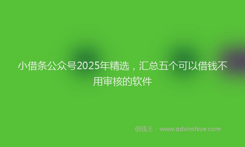 小借条公众号2025年精选，汇总五个可以借钱不用审核的软件