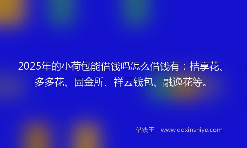 2025年的小荷包能借钱吗怎么借钱有：桔享花、多多花、固金所、祥云钱包、融逸花等。