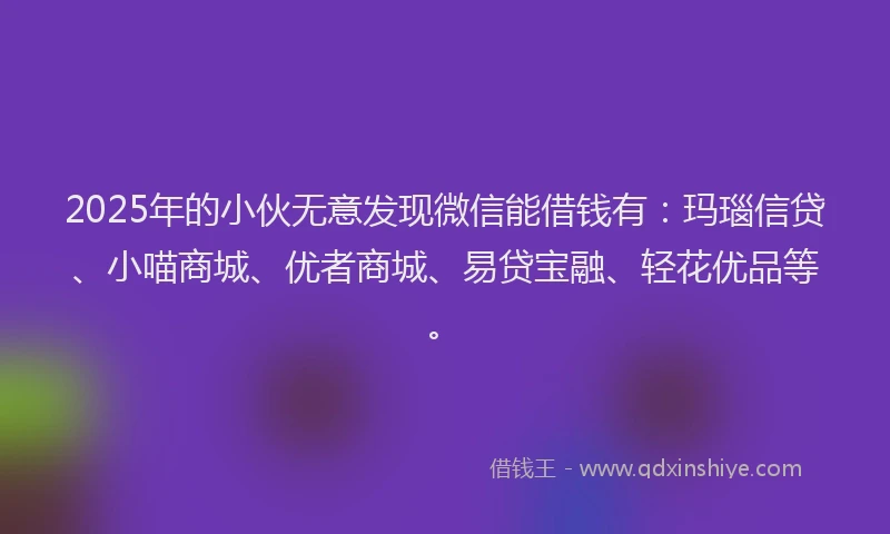 2025年的小伙无意发现微信能借钱有：玛瑙信贷、小喵商城、优者商城、易贷宝融、轻花优品等。