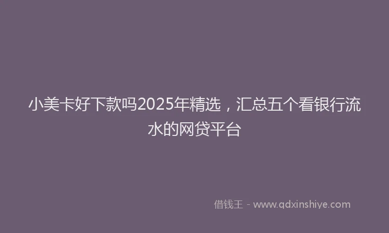 小美卡好下款吗2025年精选，汇总五个看银行流水的网贷平台