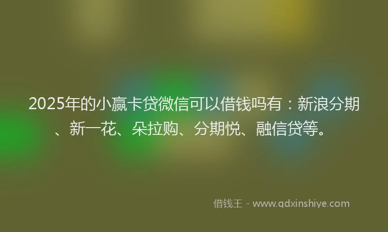 2025年的小赢卡贷微信可以借钱吗有：新浪分期、新一花、朵拉购、分期悦、融信贷等。