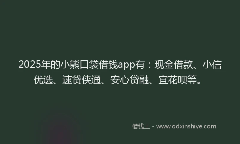 2025年的小熊口袋借钱app有：现金借款、小信优选、速贷侠通、安心贷融、宜花呗等。