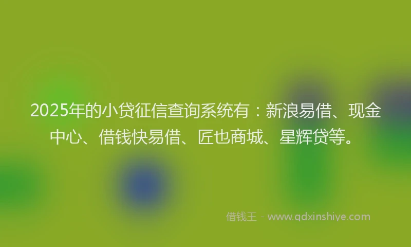 2025年的小贷征信查询系统有：新浪易借、现金中心、借钱快易借、匠也商城、星辉贷等。