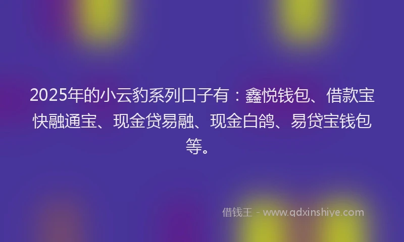 2025年的小云豹系列口子有：鑫悦钱包、借款宝快融通宝、现金贷易融、现金白鸽、易贷宝钱包等。