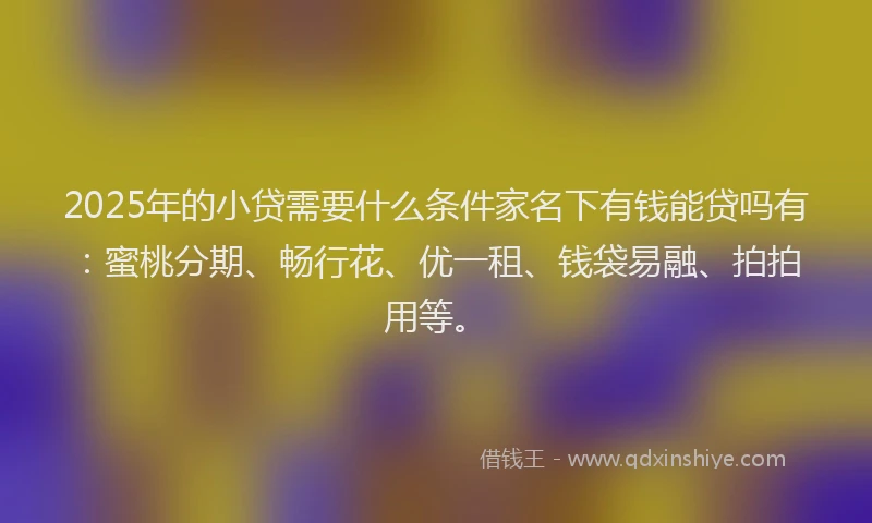 2025年的小贷需要什么条件家名下有钱能贷吗有：蜜桃分期、畅行花、优一租、钱袋易融、拍拍用等。