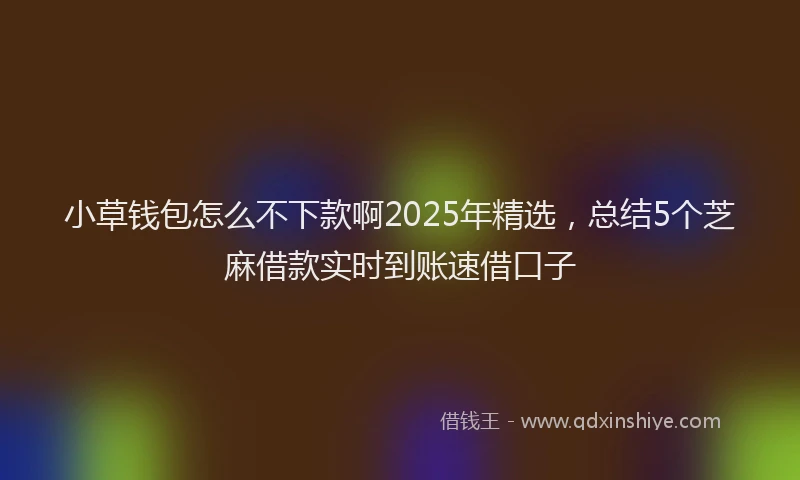 小草钱包怎么不下款啊2025年精选，总结5个芝麻借款实时到账速借口子