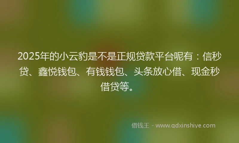 2025年的小云豹是不是正规贷款平台呢有：信秒贷、鑫悦钱包、有钱钱包、头条放心借、现金秒借贷等。