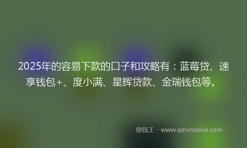2025年的容易下款的口子和攻略有：蓝莓贷、速享钱包+、度小满、星辉贷款、金瑞钱包等。