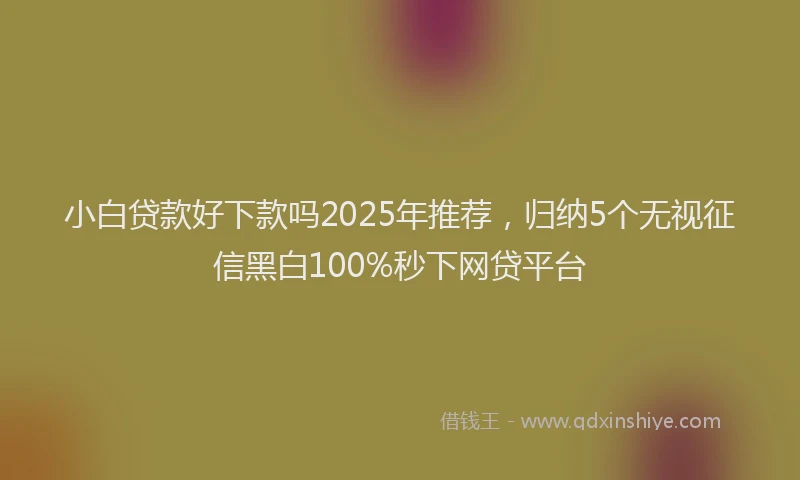 小白贷款好下款吗2025年推荐，归纳5个无视征信黑白100%秒下网贷平台