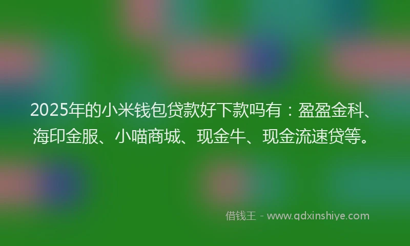 2025年的小米钱包贷款好下款吗有：盈盈金科、海印金服、小喵商城、现金牛、现金流速贷等。