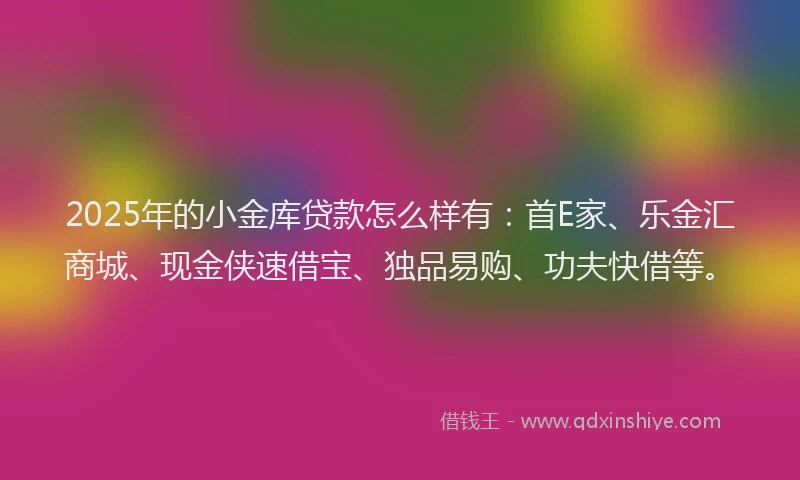 2025年的小金库贷款怎么样有：首E家、乐金汇商城、现金侠速借宝、独品易购、功夫快借等。