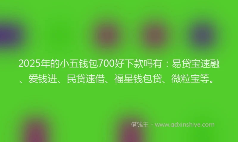 2025年的小五钱包700好下款吗有：易贷宝速融、爱钱进、民贷速借、福星钱包贷、微粒宝等。
