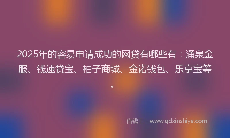2025年的容易申请成功的网贷有哪些有：涌泉金服、钱速贷宝、柚子商城、金诺钱包、乐享宝等。