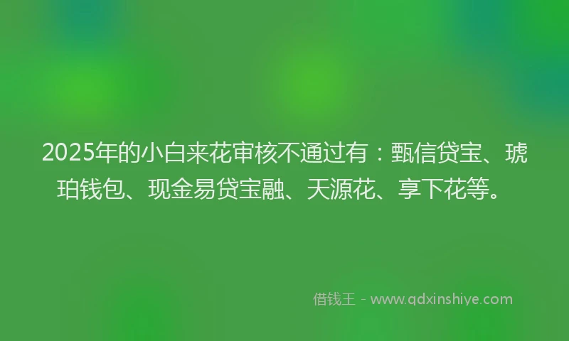 2025年的小白来花审核不通过有：甄信贷宝、琥珀钱包、现金易贷宝融、天源花、享下花等。
