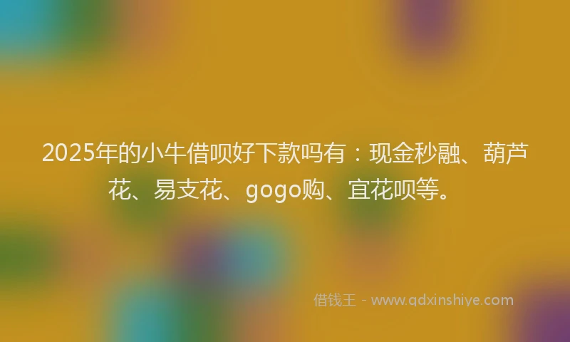 2025年的小牛借呗好下款吗有：现金秒融、葫芦花、易支花、gogo购、宜花呗等。