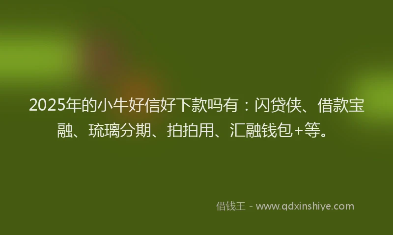 2025年的小牛好信好下款吗有：闪贷侠、借款宝融、琉璃分期、拍拍用、汇融钱包+等。