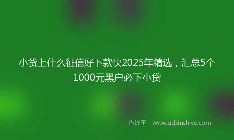 小贷上什么征信好下款快2025年精选，汇总5个1000元黑户必下小贷