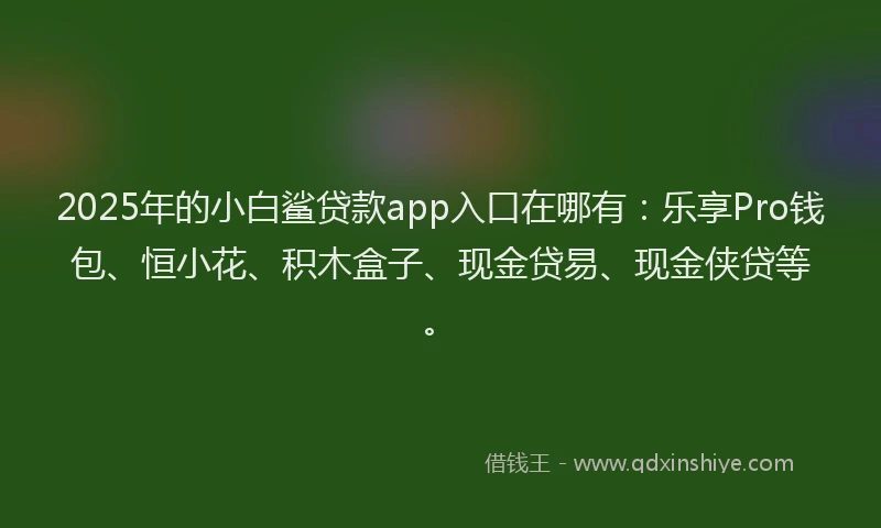 2025年的小白鲨贷款app入口在哪有：乐享Pro钱包、恒小花、积木盒子、现金贷易、现金侠贷等。