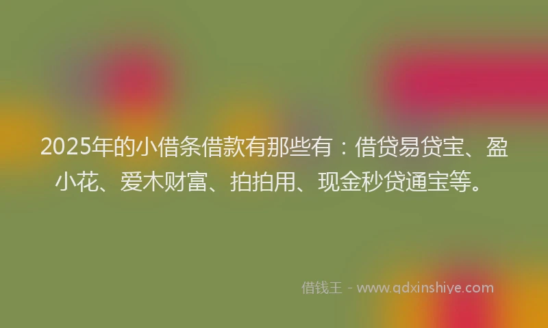 2025年的小借条借款有那些有：借贷易贷宝、盈小花、爱木财富、拍拍用、现金秒贷通宝等。