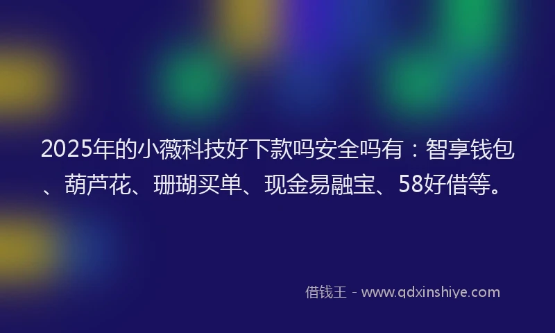 2025年的小薇科技好下款吗安全吗有：智享钱包、葫芦花、珊瑚买单、现金易融宝、58好借等。