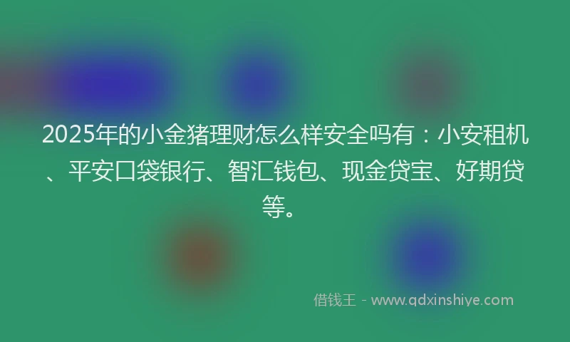 2025年的小金猪理财怎么样安全吗有：小安租机、平安口袋银行、智汇钱包、现金贷宝、好期贷等。