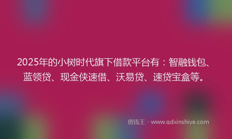 2025年的小树时代旗下借款平台有：智融钱包、蓝领贷、现金侠速借、沃易贷、速贷宝盒等。