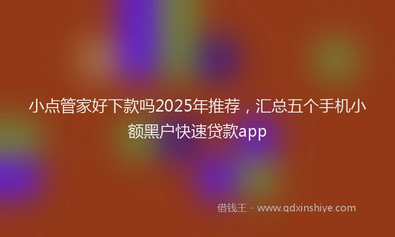 小点管家好下款吗2025年推荐，汇总五个手机小额黑户快速贷款app