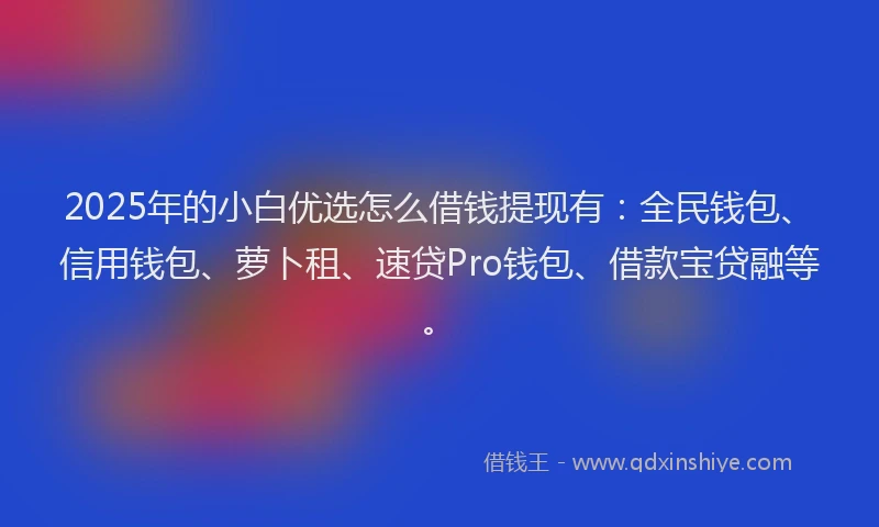 2025年的小白优选怎么借钱提现有：全民钱包、信用钱包、萝卜租、速贷Pro钱包、借款宝贷融等。