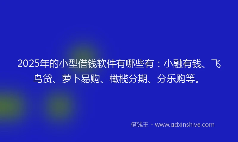 2025年的小型借钱软件有哪些有：小融有钱、飞鸟贷、萝卜易购、橄榄分期、分乐购等。