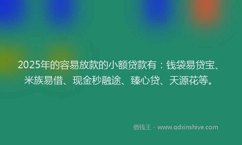 2025年的容易放款的小额贷款有：钱袋易贷宝、米族易借、现金秒融途、臻心贷、天源花等。