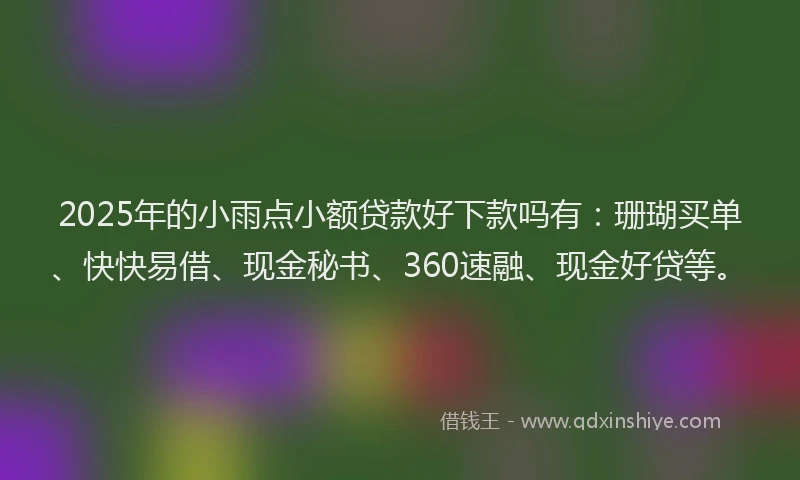 2025年的小雨点小额贷款好下款吗有：珊瑚买单、快快易借、现金秘书、360速融、现金好贷等。