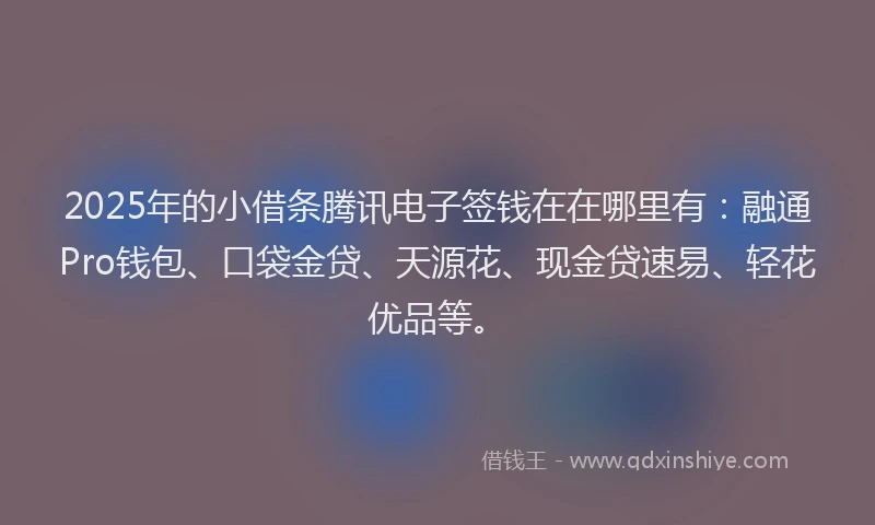2025年的小借条腾讯电子签钱在在哪里有：融通Pro钱包、口袋金贷、天源花、现金贷速易、轻花优品等。