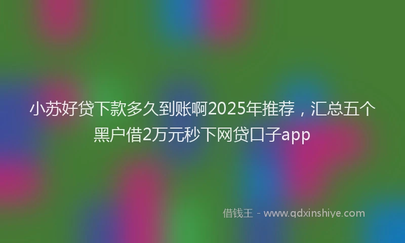 小苏好贷下款多久到账啊2025年推荐，汇总五个黑户借2万元秒下网贷口子app