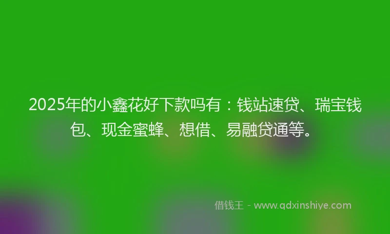 2025年的小鑫花好下款吗有：钱站速贷、瑞宝钱包、现金蜜蜂、想借、易融贷通等。