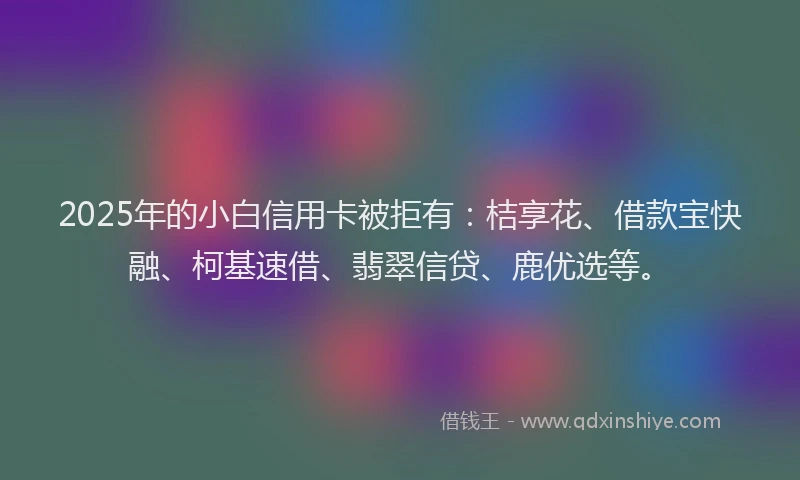2025年的小白信用卡被拒有：桔享花、借款宝快融、柯基速借、翡翠信贷、鹿优选等。