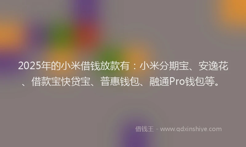 2025年的小米借钱放款有：小米分期宝、安逸花、借款宝快贷宝、普惠钱包、融通Pro钱包等。