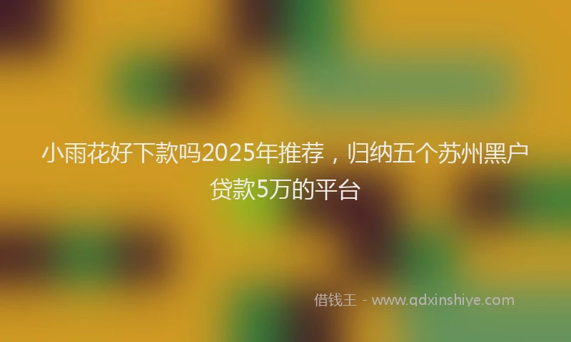 小雨花好下款吗2025年推荐，归纳五个苏州黑户贷款5万的平台