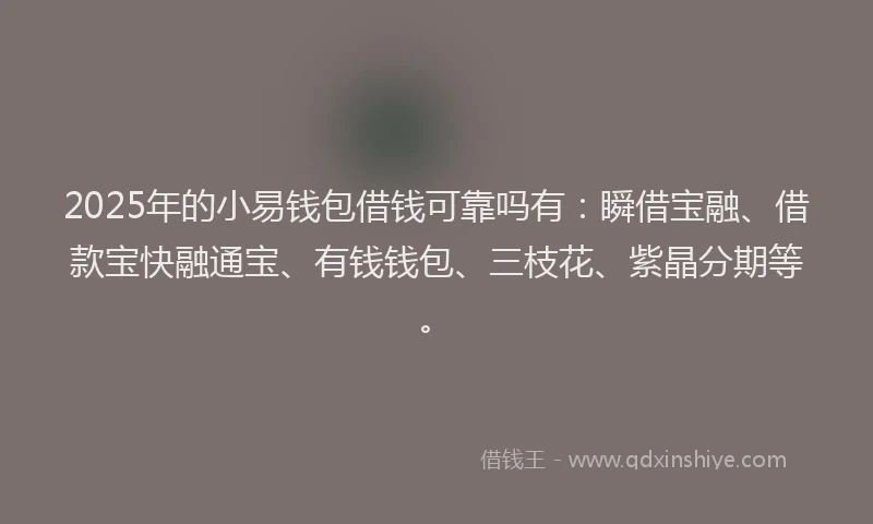 2025年的小易钱包借钱可靠吗有：瞬借宝融、借款宝快融通宝、有钱钱包、三枝花、紫晶分期等。
