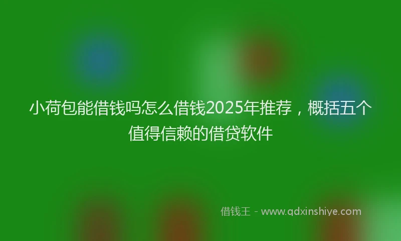 小荷包能借钱吗怎么借钱2025年推荐，概括五个值得信赖的借贷软件