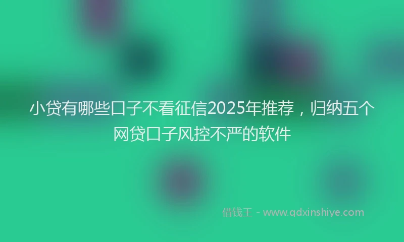 小贷有哪些口子不看征信2025年推荐，归纳五个网贷口子风控不严的软件