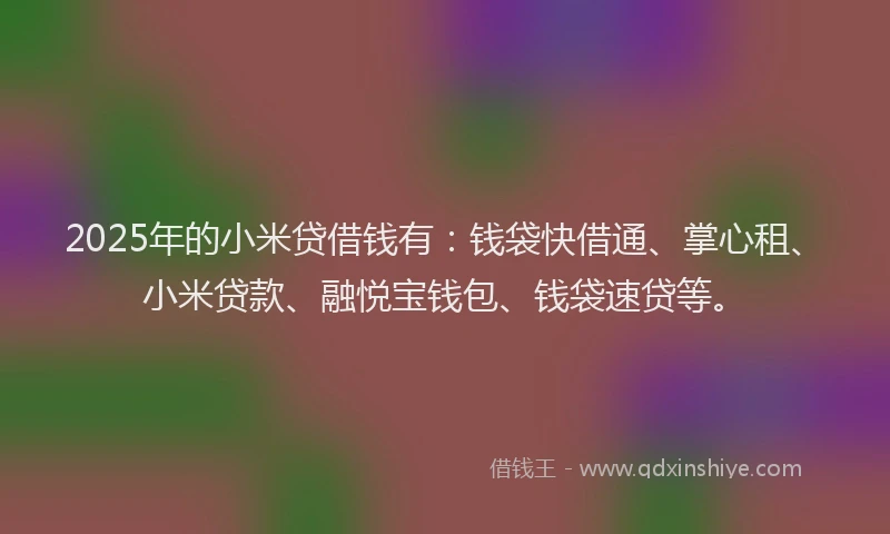2025年的小米贷借钱有：钱袋快借通、掌心租、小米贷款、融悦宝钱包、钱袋速贷等。