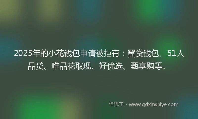 2025年的小花钱包申请被拒有：翼贷钱包、51人品贷、唯品花取现、好优选、甄享购等。