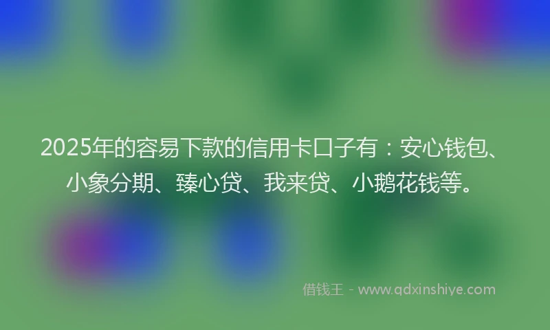 2025年的容易下款的信用卡口子有：安心钱包、小象分期、臻心贷、我来贷、小鹅花钱等。